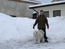 Szczenięta 2010